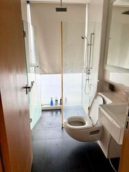 Lumiere (D2), Apartment #450833451